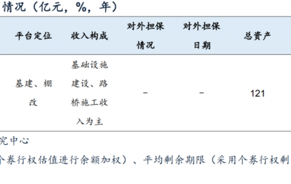 河南省89家城投平台详尽数据挖掘